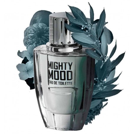 Perfume masculino MIGHTY MOOD 100ml Lyn Young
