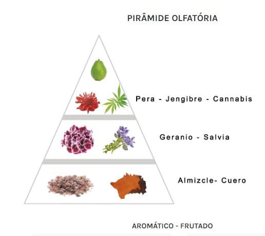 Piramide olfativa Skater Larome